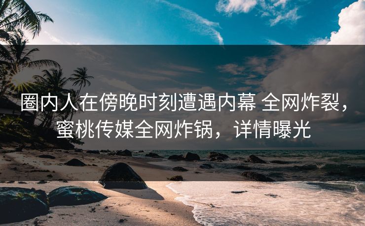 圈内人在傍晚时刻遭遇内幕 全网炸裂，蜜桃传媒全网炸锅，详情曝光