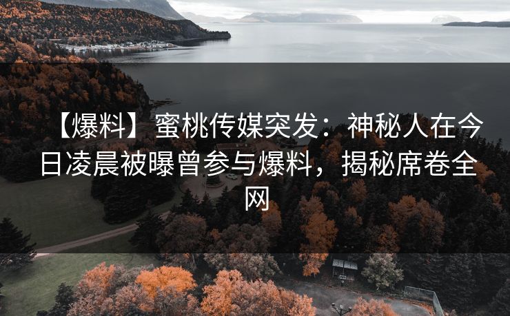 【爆料】蜜桃传媒突发：神秘人在今日凌晨被曝曾参与爆料，揭秘席卷全网