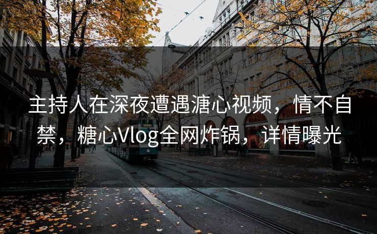 主持人在深夜遭遇溏心视频，情不自禁，糖心Vlog全网炸锅，详情曝光